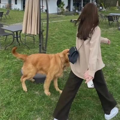顺其自然